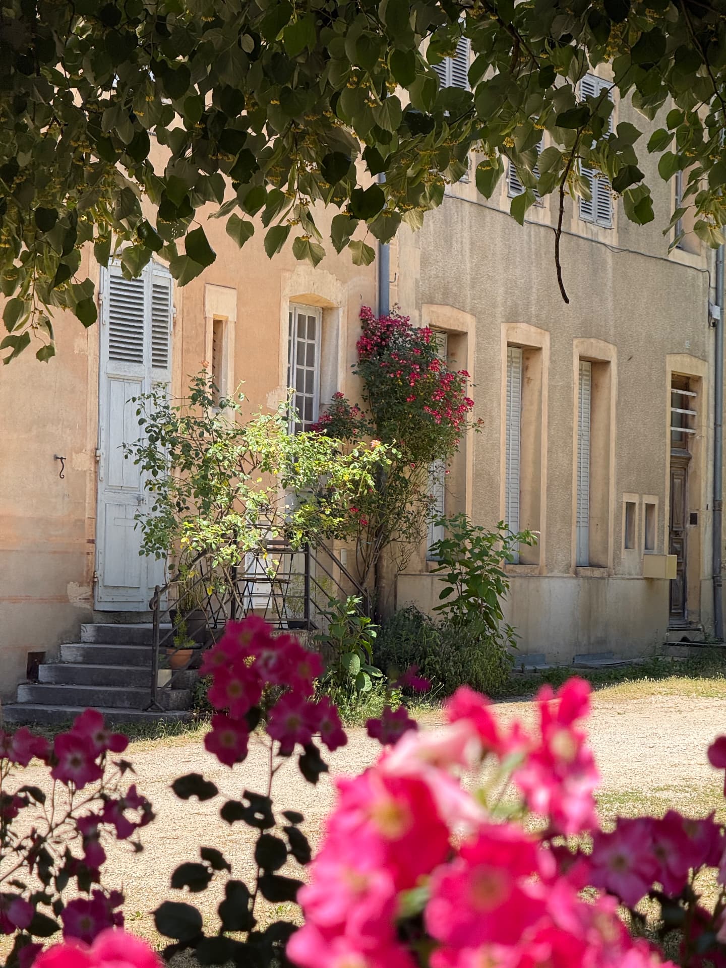 L'escalier d'entrée et les rosiers grimpants sous l'ombre des tilleuls